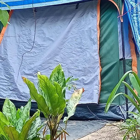 Wassana Camp & Khai Jungle Experience Ban Kraison Exterior photo
