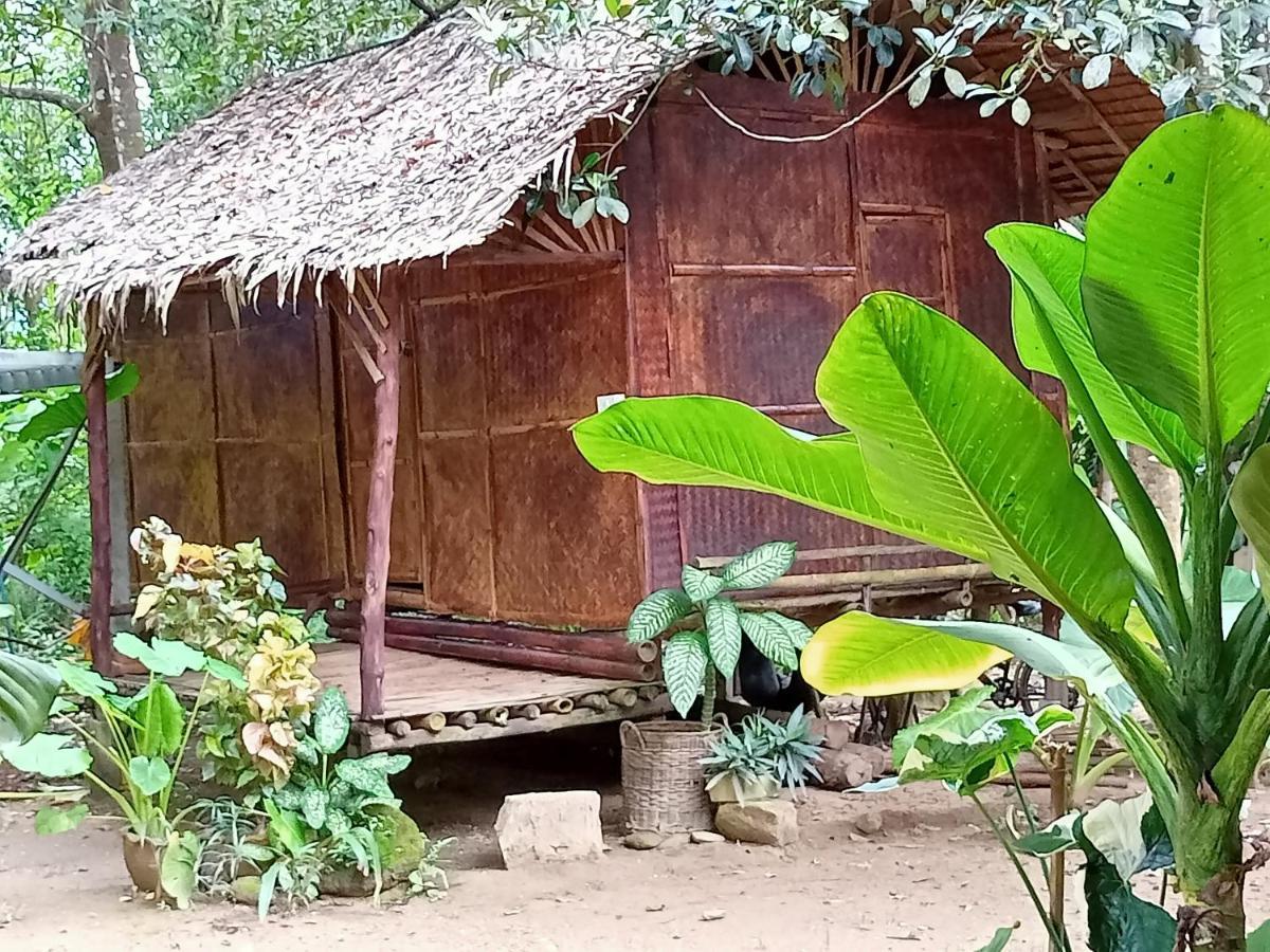 Wassana Camp & Khai Jungle Experience Luxury tent *