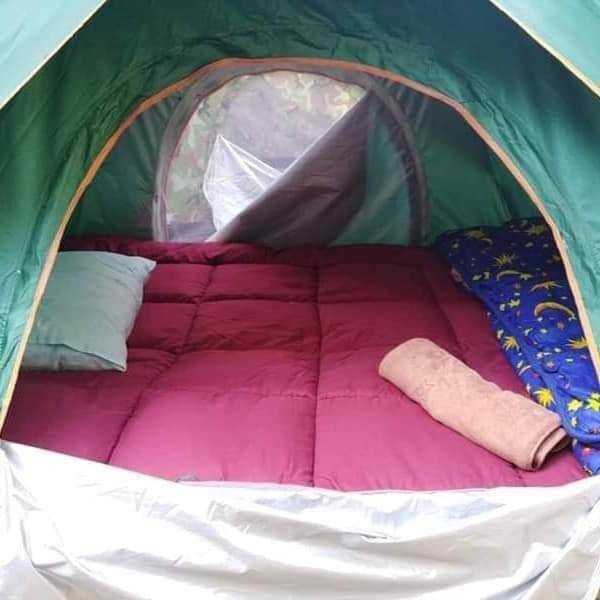 Luxury tent Wassana Camp & Khai Jungle Experience