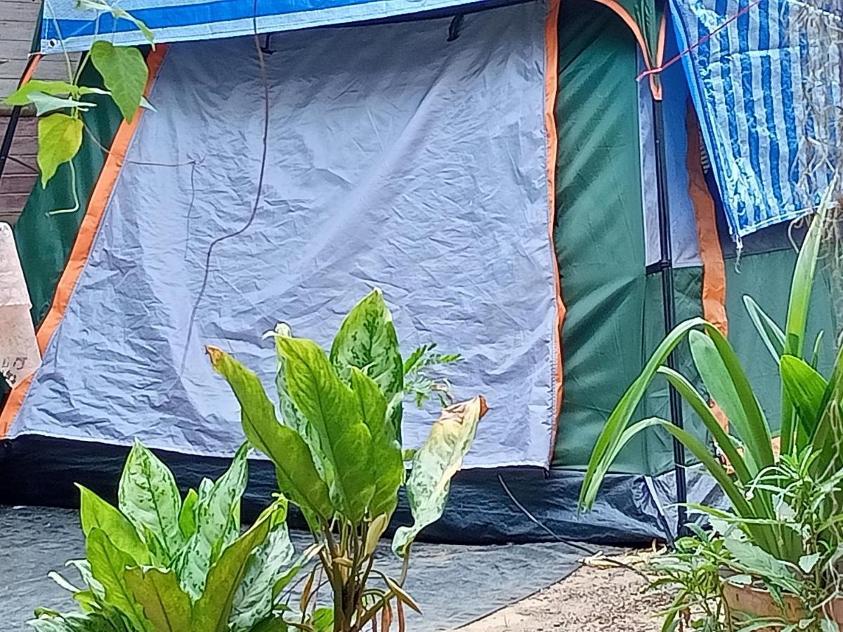 Wassana Camp & Khai Jungle Experience Ban Kraison