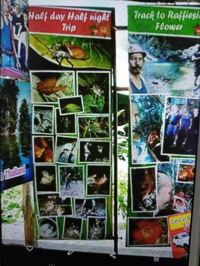 Wassana Camp & Khai Jungle Experience Ban Kraison